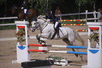 Hanna Kanerva - Silver (rekisterinimeltään Silver Promise) © Rondy Stenman / Teresa Pollari