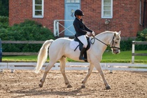 © Filippa Westerlund