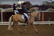 © Filippa Westerlund