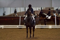 © Filippa Westerlund