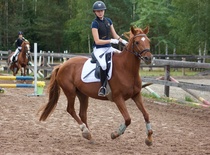 © Filippa Westerlund 