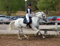 © Filippa Westerlund 