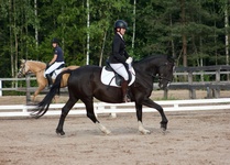 © Filippa Westerlund