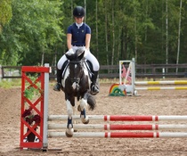 © Filippa Westerlund 