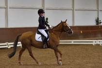 © Filippa Westerlund