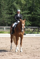 Jeanette Tinnis - Cabu
© Anna K