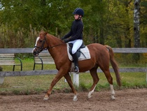 © Filippa Westerlund