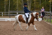 © Filippa Westerlund