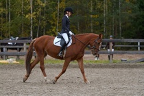 © Filippa Westerlund