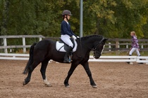 © Filippa Westerlund