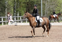 Suvi Karanta - Grit
© Anna K