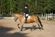 © Filippa Westerlund