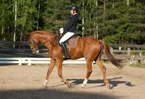 © Filippa Westerlund