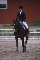 Teresa Pollari – Victor (rekisterinimeltään Victor vd Kiekenshoef) © Rondy Stenman / Teresa Pollari