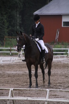 Teresa Pollari – Victor (rekisterinimeltään Victor vd Kiekenshoef) © Rondy Stenman / Teresa Pollari