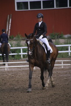 Rondy Stenman - Biko (rekisterinimi Igo Drosmigais), 
© Rondy Stenman / Teresa Pollari