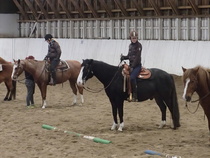 Alkukaarrossa Iiris ja Rudi sekä Malla ja Flame, kuva Anna Vuorio.