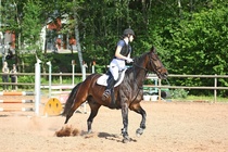 Kuva Primus / Emilia Alamäki