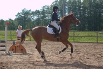 Kuva Primus / Emilia Alamäki