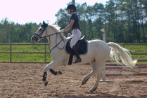 Kuva Primus / Emilia Alamäki