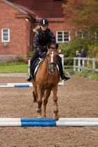 © Filippa Westerlund