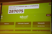 © Maiju Kaarsalo-Koskela