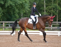 © Filippa Westerlund