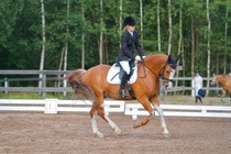 © Filippa Westerlund