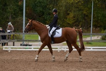 © Filippa Westerlund