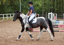 © Filippa Westerlund 