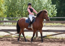 © Filippa Westerlund 