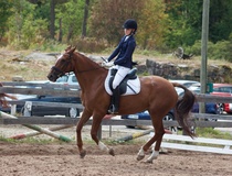 © Filippa Westerlund 