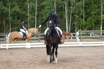 © Filippa Westerlund