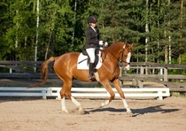 © Filippa Westerlund