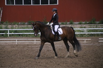 Rondy Stenman - Biko (rekisterinimi Igo Drosmigais), 
© Rondy Stenman / Teresa Pollari