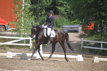 Elisa Kankkunen - Rex (rekisterinimi Rekets) © Rondy Stenman / Teresa Pollari