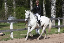 Iiris Kankkunen - Silver
© Anna K