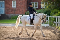 © Filippa Westerlund