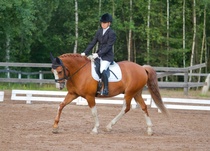 © Filippa Westerlund