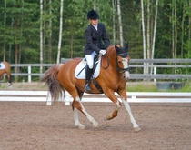 © Filippa Westerlund