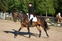 © Filippa Westerlund