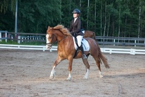 © Filippa Westerlund