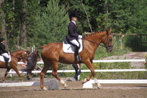 Susanna Salmio – Petrus (rekisterinimellään Peetrus) © Rondy Stenman / Teresa Pollari