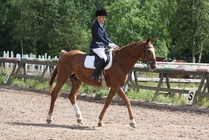 Oona Ylikoski - Kasper
© Anna K