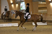 Kuva Primus / Emilia Alamäki