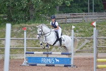 Kuva Primus / Emilia Alamäki