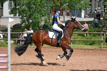 Kuva Primus / Emilia Alamäki