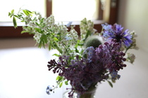 © Maiju Kaarsalo-Koskela