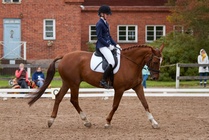 © Filippa Westerlund