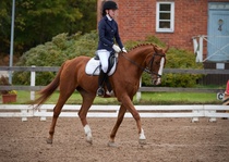 © Filippa Westerlund